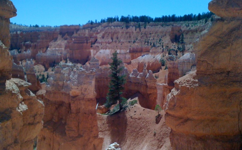 Mrs. Lewis, I Believe You’ve Become Separated from Your Children.  A funny story about losing our kids (and getting reunited) in a National&nbsp;Park!